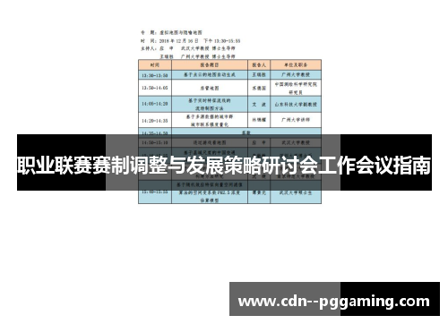 职业联赛赛制调整与发展策略研讨会工作会议指南